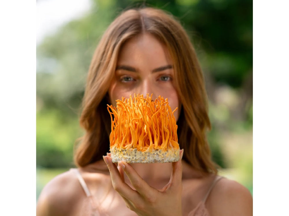 Mycospring Gentle Cleansing Foam קצף ניקוי עדין מבית מיקוספרינג