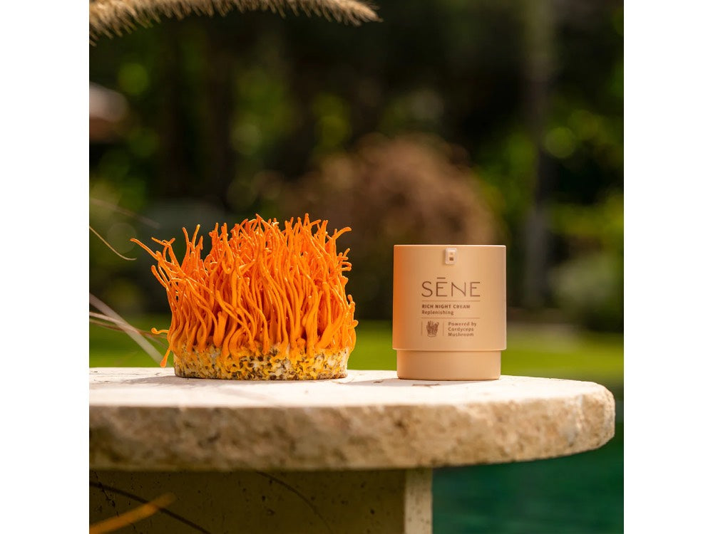 Mycospring Rich Night Cream קרם לילה עשיר מבית מיקוספרינג