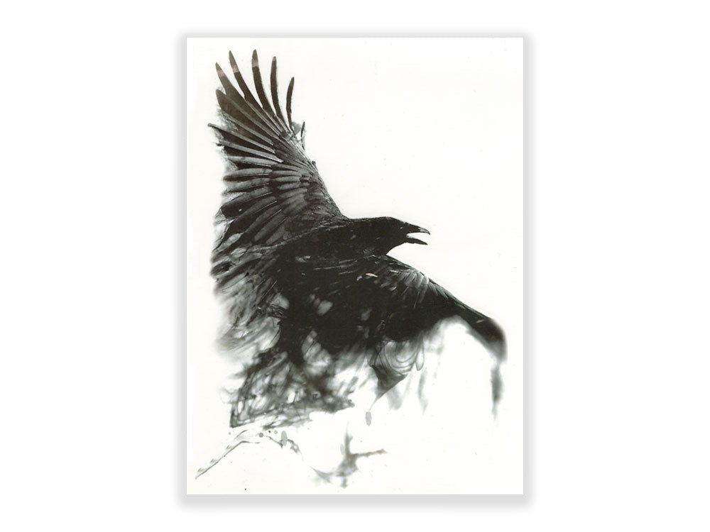 תעתוע קעקוע זמני גדול שחור לבן עורב שחור בתעופה היצ׳קוק כנפיים נוצות