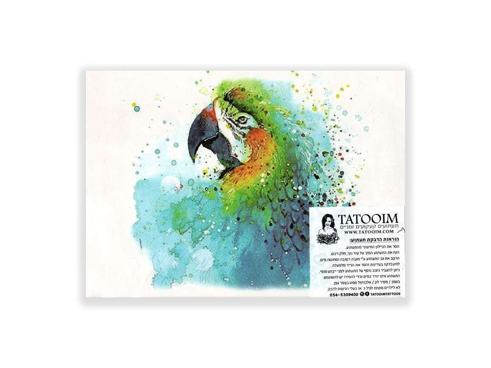 תעתוע קעקוע זמני גדול צבעוני ציפור תוכי מאקו בצבעי מים אקזוטי