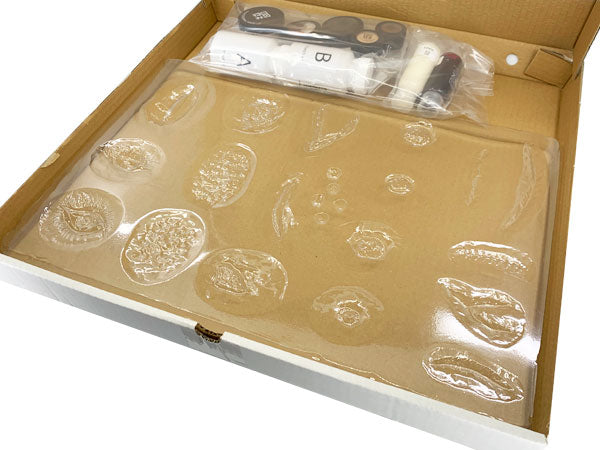 קיט יצירה מקצועי לאפקטים מיוחדים ופרוסטטיקה מבית בועז שטיין