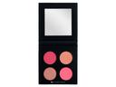 I'm Fashion Makeup Blush Palette פלטת סמקים 902
