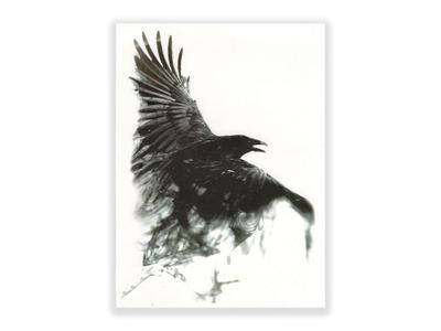 תעתוע קעקוע זמני גדול שחור לבן עורב שחור בתעופה היצ׳קוק כנפיים נוצות