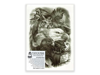 תעתוע קעקוע זמני גדול שחור לבן ציפורים דורסים מלכי העופות ינשוף נשר עיט נץ