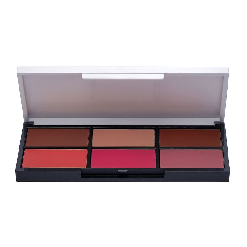 Lipstick Palette פלטת ליפסטיקים