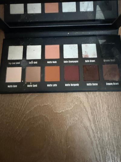 ביקורת מאת מיה לוגשי